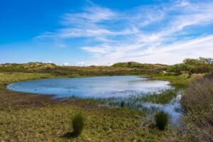 Duinen van egmond