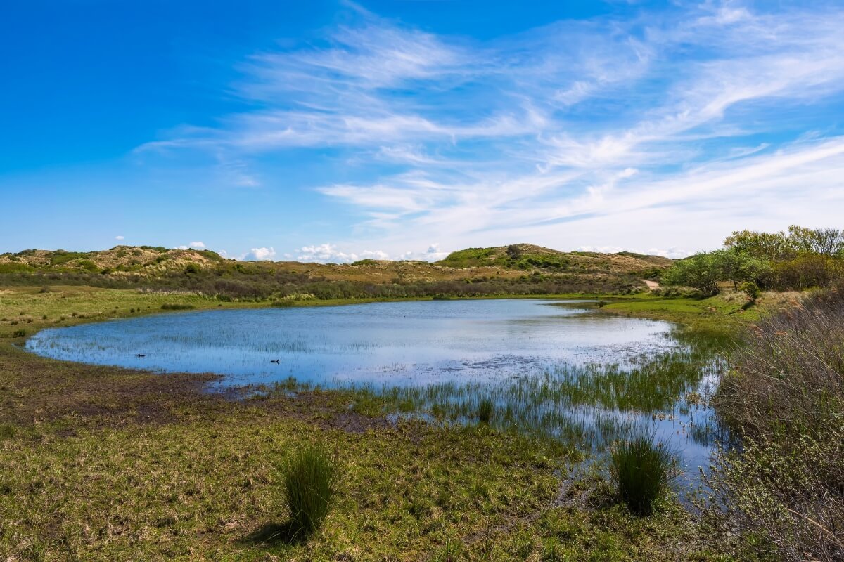 Duinen van egmond